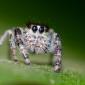 #MacroDoDia