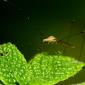 #MacroDoDia