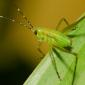 #MacroDoDia