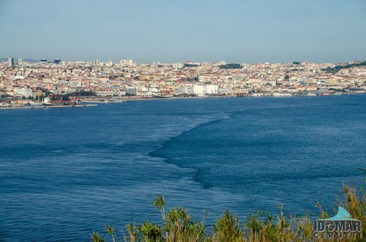 Rio Tejo