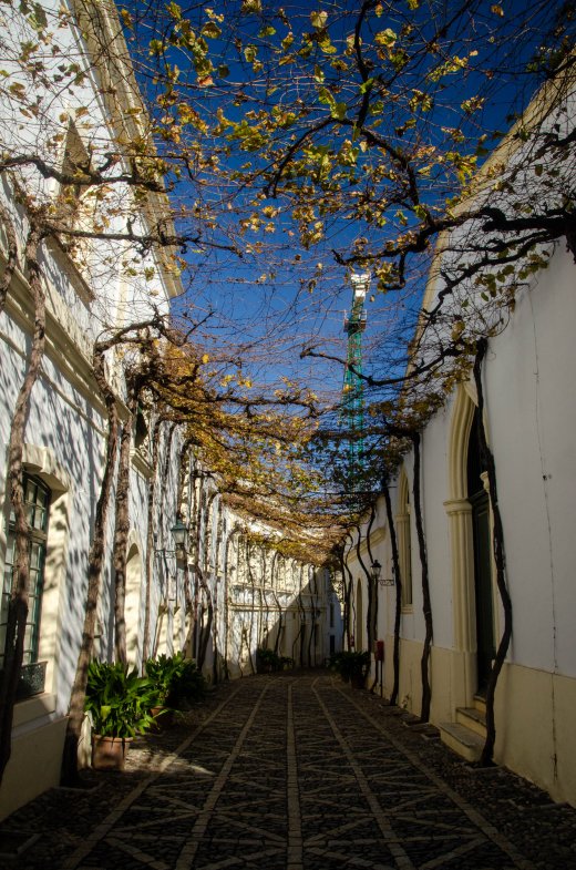 Jerez de la Frontera